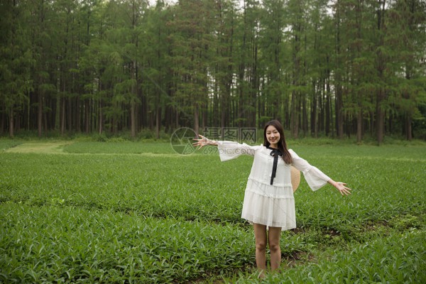 悠然武汉,品味三镇茶香风情 悠然武汉,品味三镇茶香风情